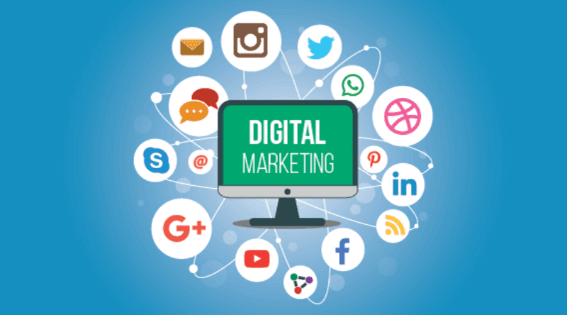 digital marketing agency in paraparaumu